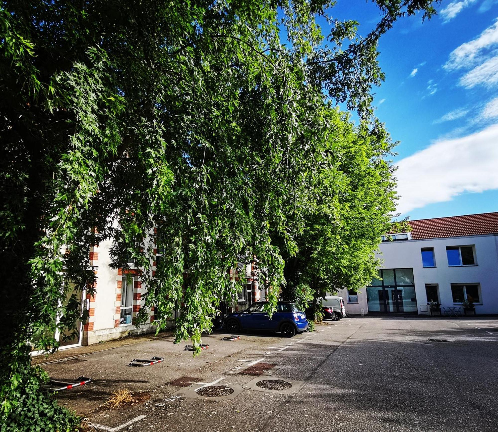 Proche De Centre, Cinema Renove Avec Parking Gratuit Apartment